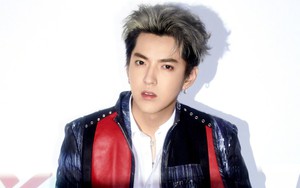 'Bông tuyết' Ngô Diệc Phàm: Từ đỉnh lưu được cưng chiều nhất làng giải trí Hoa ngữ đến 13 năm tù tội vì những tội danh chấn động