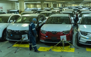 Đây là cách xếp và giữ 999 chiếc VinFast VF 8 trên con tàu rộng 32 m: Cố định bằng dây, cách nhau chỉ vài cm