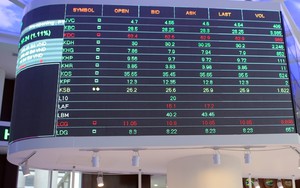 VN-Index vượt mốc 1.000 điểm, khối ngoại mua ròng hàng nghìn tỷ đồng