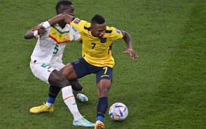 Kết quả bóng đá Ecuador 1-2 Senegal: Koulibaly tỏa sáng, Senegal vào vòng 1/8 World Cup