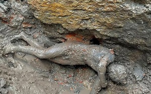 Tìm thấy hơn 20 bức tượng đồng được bảo quản trong bùn Địa Trung Hải hơn 2.000 năm