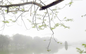 Thời tiết ngày 9/11: Nhiều khu vực sáng sớm có sương mù, ngày nắng