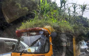 Ấn Độ du ký (kỳ 1): Túc túc và nghi lễ "cúng xe"