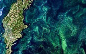 Chỉ vài tháng nữa thôi, vệ tinh nghiên cứu nước trị giá 1,2 tỷ USD của NASA sẽ cách mạng hóa ngành thủy văn học