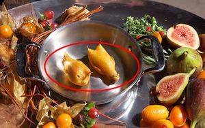 2 món ăn của giới nhà giàu gây phẫn nộ vì cách làm quá tàn nhẫn