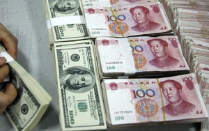 Tỷ giá trung tâm ngày 12/12 giảm 2 đồng