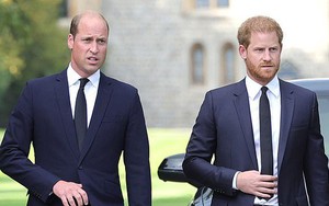 Bất chấp bị em trai công kích liên tục, Thái tử William vẫn bảo vệ Hoàng tử Harry và mối quan hệ phức tạp của cả hai