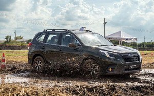 Subaru Forester - ‘Sầu riêng’ trong chợ xe Việt Nam