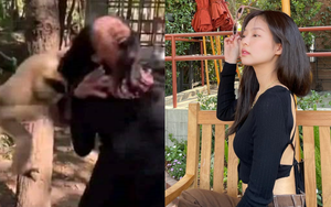 Hot rần rần ảnh Jennie (BLACKPINK) đi sở thú rồi bị khỉ... giật tóc, nhìn kĩ thấy hình như có gì sai sai
