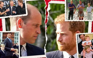 Vương tử William chính thức dứt tình anh em, còn 'ghim thù cá nhân' với Harry