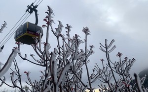 Hình ảnh băng giá, sương muối phủ trắng đỉnh Fansipan