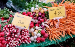 Theo chân người phụ nữ Việt đi chợ nông sản lâu đời của Thụy Sĩ: Hoa quả xanh tươi mơn mởn, gừng bán cả cây nhưng xem giá xong "tháo chạy"