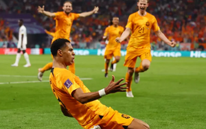 Đội hình dự kiến Hà Lan vs Mỹ: Gakpo lại toả sáng?