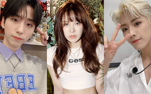 Những thần tượng K-pop có IQ cực cao