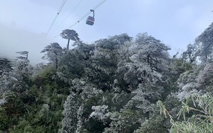 Rét đậm, rét hại, gió mạnh và sóng lớn trên biển gây thiệt hại tại nhiều địa phương