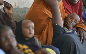 FAO cảnh báo về tình hình nhân đạo thảm khốc ở Somalia
