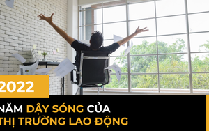 2022 - năm dậy sóng của thị trường lao động: Từ khủng hoảng 'đại từ chức' đến trào lưu 'nghỉ việc thầm lặng' và những cuộc sa thải hàng loạt