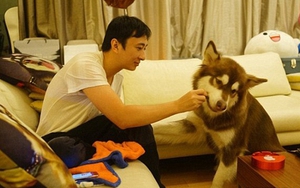 Thiếu gia ăn chơi khét tiếng mua đồng hồ tiền tỷ cho chó cưng giờ ra sao?