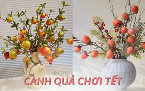 5 loại cành quả chơi Tết giúp gia chủ nghênh đón tài lộc đầu xuân