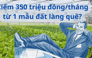 Sếp hỏi khó: “Với 1 mẫu đất trống tại làng quê, làm cách nào để kiếm được 350 triệu đồng mỗi tháng?”, ứng viên trúng tuyển có câu trả lời "đi vào lòng người"
