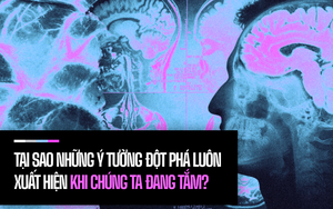 Đi tìm suối nguồn sáng tạo trong não bộ: Tại sao những ý tưởng đột phá luôn xuất hiện khi chúng ta đang tắm?
