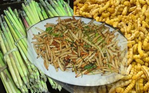 Món ăn đặc sản vùng Tây Bắc khiến nhiều thực khách phải giật mình, không phải ai cũng dám thử