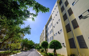 Đây là 1 trong hai ngôi trường của Việt Nam vừa lọt top 200 đại học xanh phát triển bền vững: Nhìn khuôn viên mà thích mê	