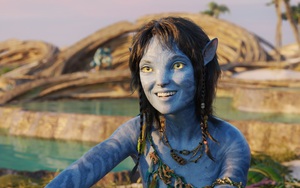 'Avatar 2' càn quét phòng vé Việt, 'Thanh Sói' và 'Đảo độc đắc' không như kỳ vọng