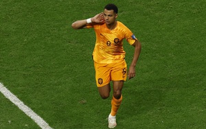 Liverpool: Chờ Cody Gakpo kích hoạt Darwin Nunez