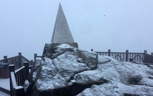 Ngắm mưa tuyết tại Sa Pa