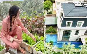Cơ ngơi của chồng Bảo Thy: Biệt thự 2 mặt tiền, đến mùa lễ hội là gây choáng bởi 1 điều 