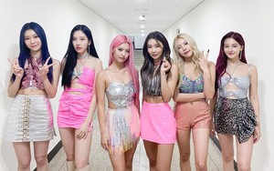 Momoland và hành trình tìm chỗ đứng trong làng nhạc