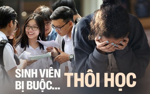 Tình trạng hàng ngàn sinh viên bị... đuổi học vì điểm kém: Quên ngay khái niệm "lên đại học tha hồ mà chơi"!