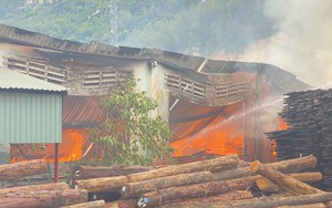 Bắt giữ nghi phạm phóng hỏa khiến hai người thương vong