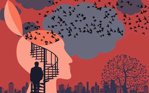 3 tầng tâm thái quyết định thành bại: tâm thái gà nhà, tâm thái chim ưng, tâm thái đại bàng - Bạn thuộc loại nào?