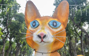 Mèo 'kỳ lạ' ở công viên Thống Nhất và loạt linh vật tết Quý Mão 2023