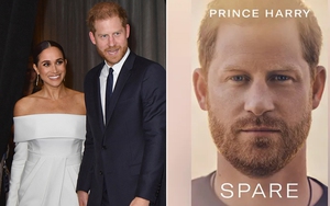 Hoàng tử Harry và Meghan bị yêu cầu tước bỏ danh hiệu hoàng gia, tiền lệ chưa từng có trong cả thế kỷ 