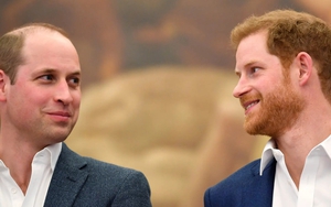 Những điều điên rồ nhất mà Hoàng tử Harry nói về anh trai William trong cuốn hồi ký