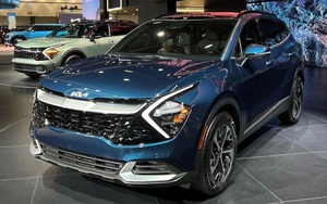 Seltos, Sportage và Sorento 'đẻ trứng vàng' cho Kia, kéo về doanh số lớn dù thị trường bất ổn