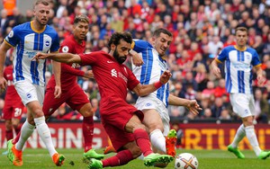 Dự đoán tỉ số trận Brighton vs Liverpool: Không dễ cho đội khách