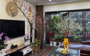 Dọn nhà đón Tết nên tránh 4 lỗi đại kỵ này, kẻo ảnh hưởng đến vận khí gia đình 