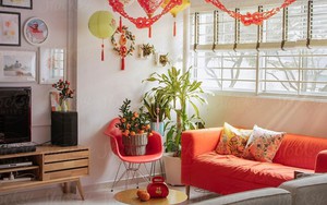 Tết chưng cây cảnh ở những vị trí tụ lộc này: Gia chủ ăn nên làm ra, Thần Tài liên tục gõ cửa