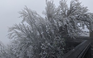 Băng giá xuất hiện tại đỉnh Mẫu Sơn, Lạng Sơn ​