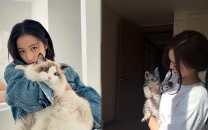 'Việc nhẹ lương cao' có thật: Cô gái được công ty trả 20 triệu/tháng để chăm mèo 