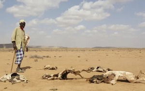 El Nino sẽ quay trở lại vào năm 2023, cả thế giới phải sẵn sàng đối mặt những đợt nắng nóng chưa từng có