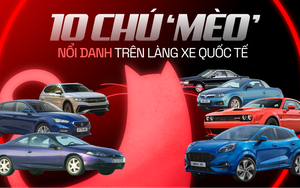10 chú 'mèo' nổi danh trên làng xe quốc tế