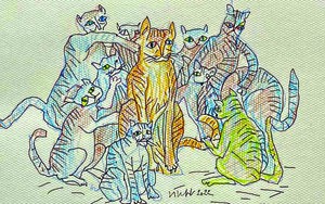 Ngẫm ngợi đầu năm: 'Con mèo, con mẻo, con meo'