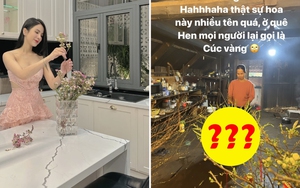 Sao Việt thi nhau khoe thú chơi hoa ngày Tết: H'Hen Niê gây ấn tượng với loại hoa cúc "lạ"