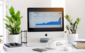 Năm mới tới, mách bạn cách chọn cây cảnh phù hợp với từng phòng để hút tài lộc