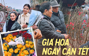 Cập nhật giá cả ở chợ hoa Tết lớn nhất Hà Nội